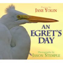 Cover of An Egret's Day by Jane Yolen and Jason Stemple