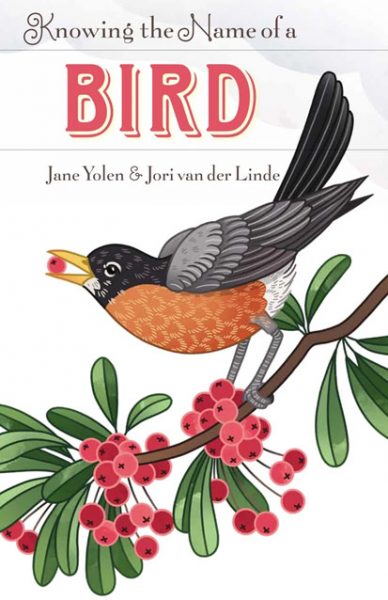Cover of Knowing the Name of a Bird by Jane Yolen